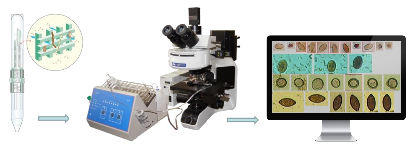 Tibbiyot Dunyosi  Paras — комплекс автоматизированной микроскопии для анализов фекалий на гельмиты и простейшие  TD-Service Paras — комплекс автоматизированной микроскопии для анализов фекалий на гельминты и простейшие